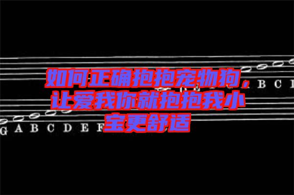 如何正確抱抱寵物狗，讓愛我你就抱抱我小寶更舒適