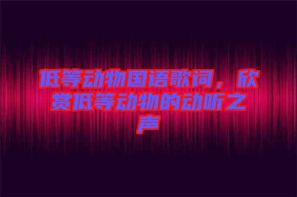低等動物國語歌詞，欣賞低等動物的動聽之聲