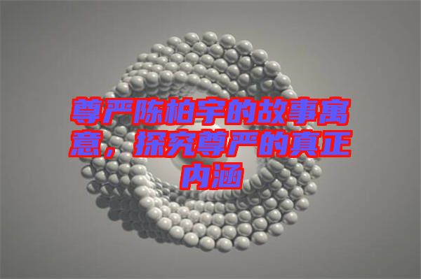 尊嚴(yán)陳柏宇的故事寓意，探究尊嚴(yán)的真正內(nèi)涵