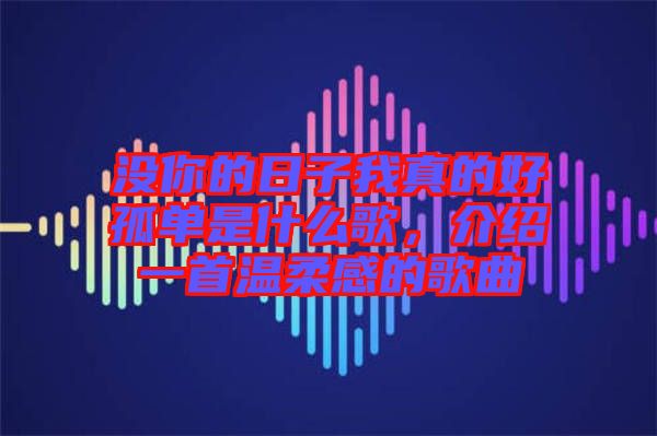 沒(méi)你的日子我真的好孤單是什么歌，介紹一首溫柔感的歌曲