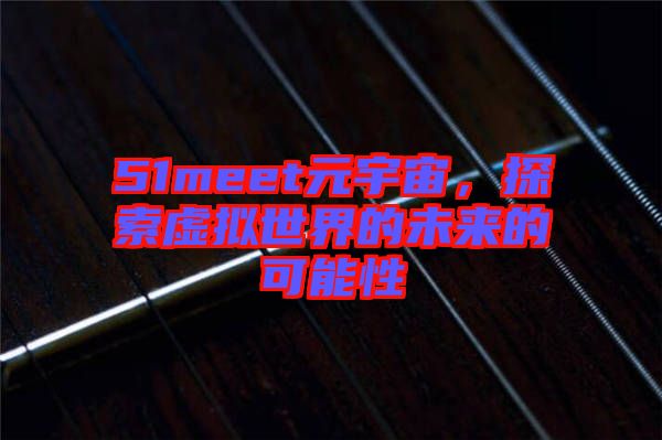 51meet元宇宙，探索虛擬世界的未來(lái)的可能性