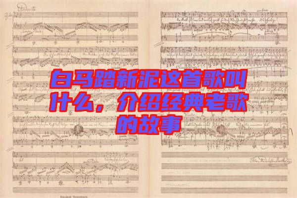 白馬踏新泥這首歌叫什么，介紹經(jīng)典老歌的故事