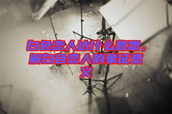 白色戀人達(dá)什么意思，解白色戀人的象征意義