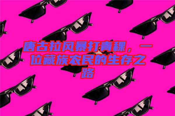 唐古拉風(fēng)暴打青稞，一位藏族農(nóng)民的生存之路