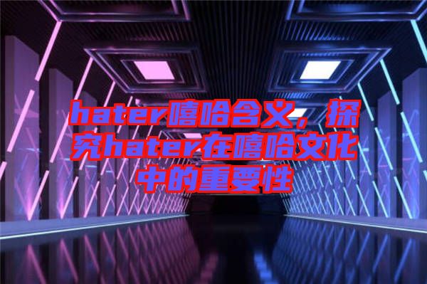 hater嘻哈含義，探究hater在嘻哈文化中的重要性