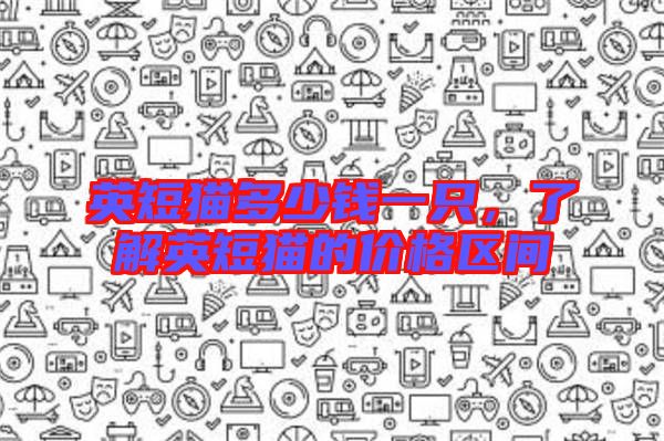 英短貓多少錢一只，了解英短貓的價格區(qū)間