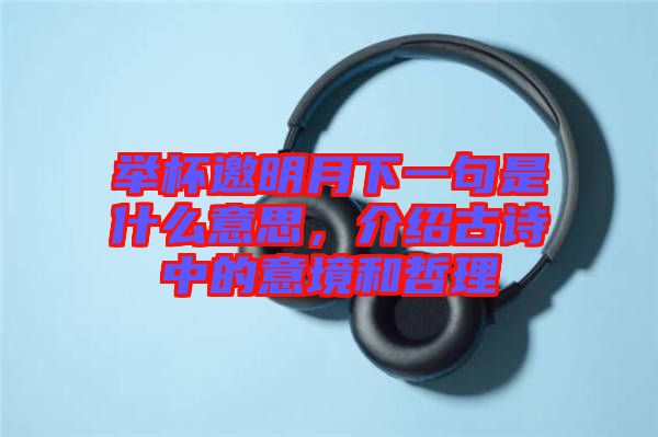 舉杯邀明月下一句是什么意思，介紹古詩中的意境和哲理