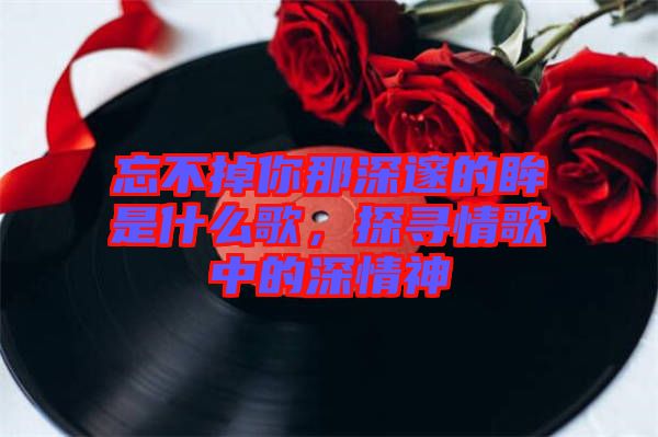 忘不掉你那深邃的眸是什么歌，探尋情歌中的深情神