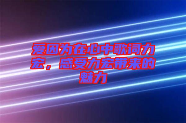 愛因?yàn)樵谛闹懈柙~力宏，感受力宏帶來的魅力