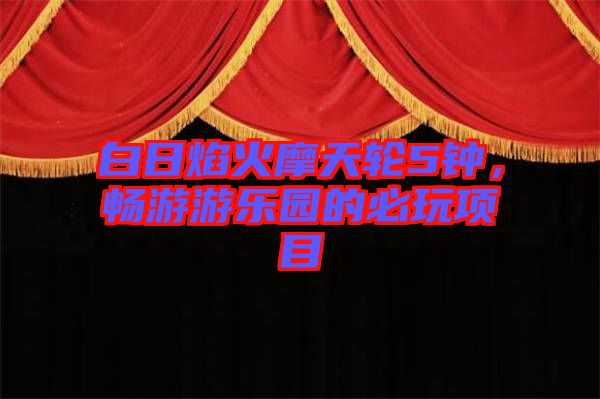 白日焰火摩天輪5鐘，暢游游樂園的必玩項(xiàng)目