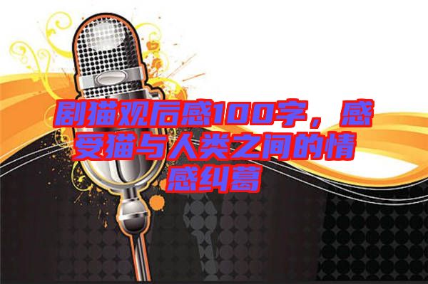 劇貓觀后感100字，感受貓與人類之間的情感糾葛