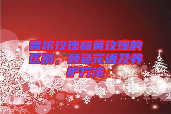 香檳玫瑰和黃玫瑰的區(qū)別，顏色花語及養(yǎng)護方法
