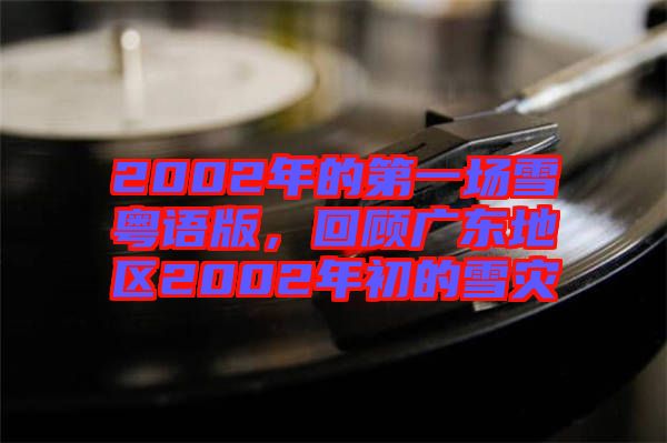 2002年的第一場雪粵語版，回顧廣東地區(qū)2002年初的雪災