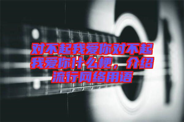 對(duì)不起我愛你對(duì)不起我愛你什么梗，介紹流行網(wǎng)絡(luò)用語