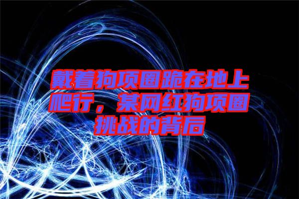 戴著狗項圈跪在地上爬行，某網(wǎng)紅狗項圈挑戰(zhàn)的背后