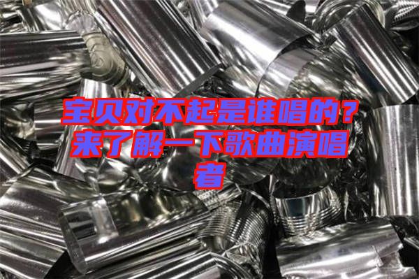 寶貝對(duì)不起是誰(shuí)唱的？來(lái)了解一下歌曲演唱者