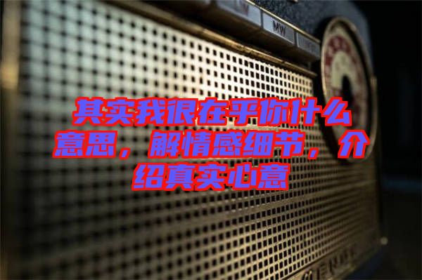 其實(shí)我很在乎你什么意思，解情感細(xì)節(jié)，介紹真實(shí)心意