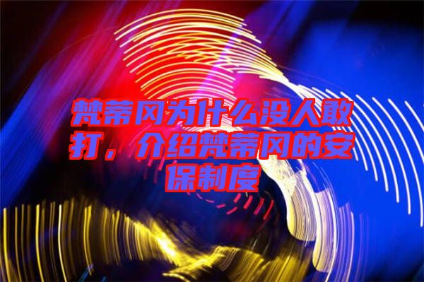 梵蒂岡為什么沒人敢打，介紹梵蒂岡的安保制度