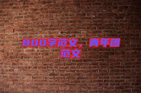 800字范文，青年團(tuán)范文