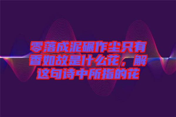 零落成泥碾作塵只有香如故是什么花，解這句詩中所指的花