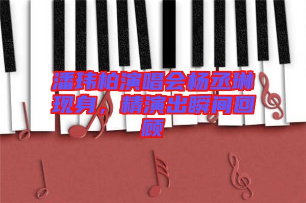 潘瑋柏演唱會楊丞琳現(xiàn)身，精演出瞬間回顧