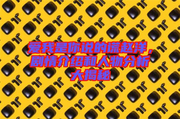 愛(ài)我是你說(shuō)的謊趙洋，劇情介紹和人物分析大揭秘