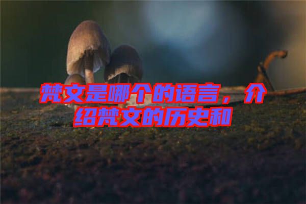 梵文是哪個的語言，介紹梵文的歷史和