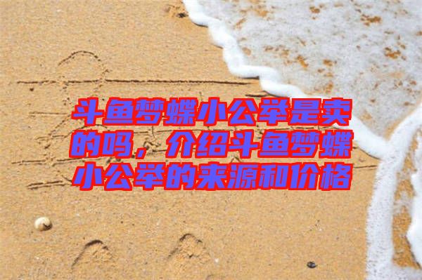 斗魚夢蝶小公舉是賣的嗎，介紹斗魚夢蝶小公舉的來源和價格