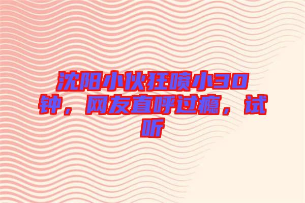 沈陽小伙狂噴小30鐘，網(wǎng)友直呼過癮，試聽