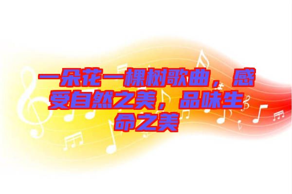 一朵花一棵樹(shù)歌曲，感受自然之美，品味生命之美