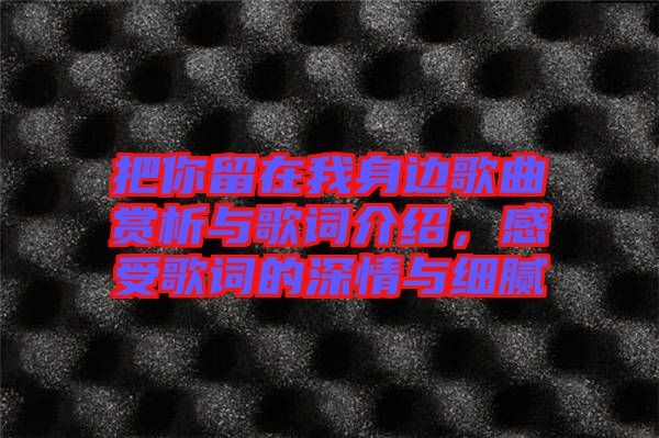 把你留在我身邊歌曲賞析與歌詞介紹，感受歌詞的深情與細(xì)膩
