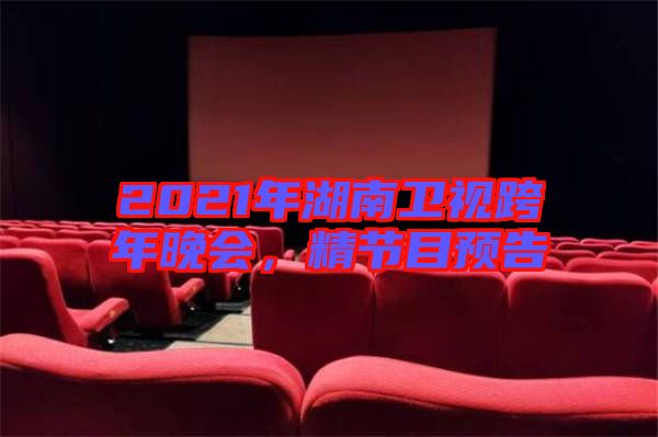 2021年湖南衛(wèi)視跨年晚會(huì)，精節(jié)目預(yù)告