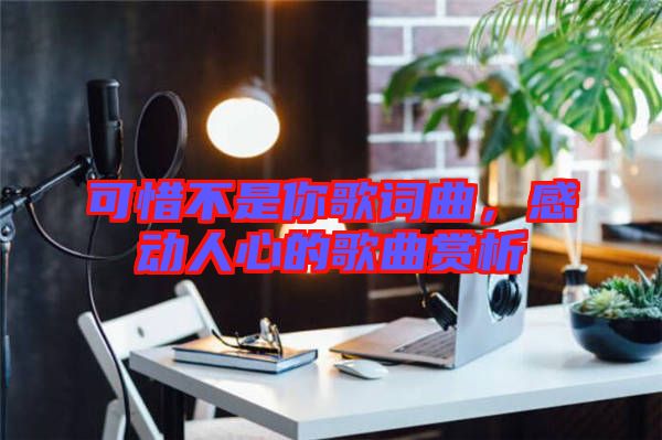 可惜不是你歌詞曲，感動人心的歌曲賞析