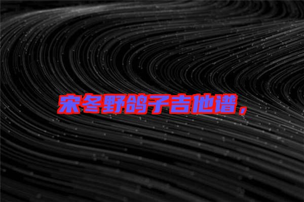 宋冬野鴿子吉他譜，