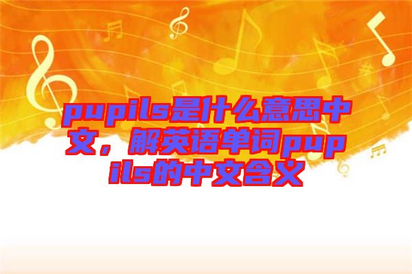 pupils是什么意思中文，解英語單詞pupils的中文含義