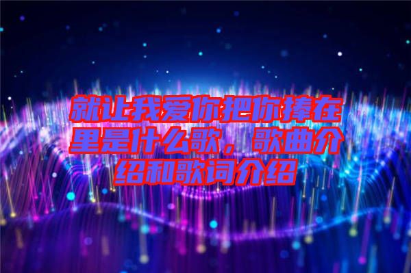 就讓我愛你把你捧在里是什么歌，歌曲介紹和歌詞介紹