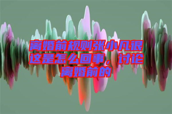 離婚前規(guī)則張小凡很這是怎么回事，討論離婚前的
