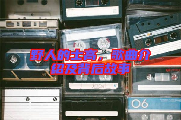 野人的士高，歌曲介紹及背后故事