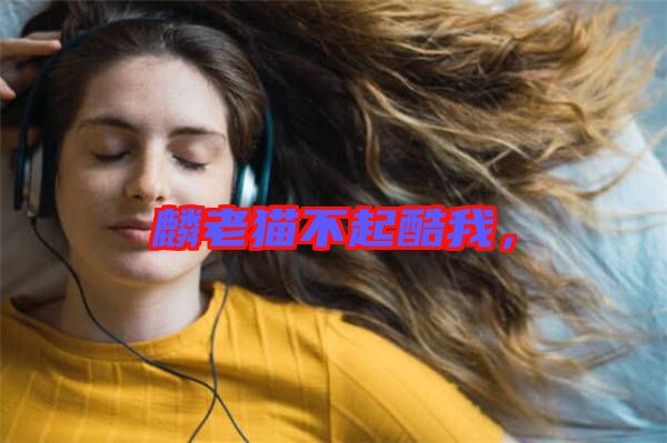 麟老貓不起酷我，