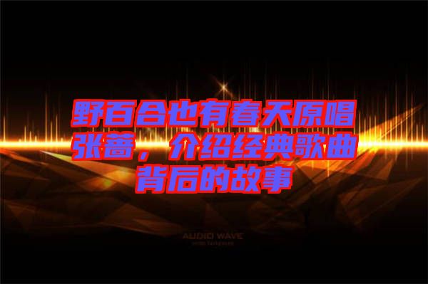 野百合也有春天原唱張薔，介紹經(jīng)典歌曲背后的故事
