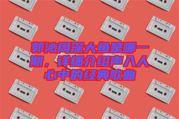 郭沁周深大魚是哪一期，詳細介紹聲入人心中的經典歌曲