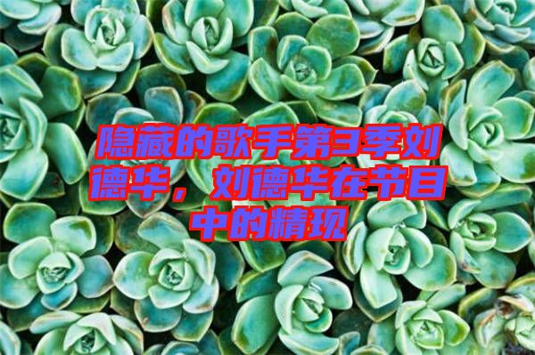 隱藏的歌手第3季劉德華，劉德華在節(jié)目中的精現(xiàn)