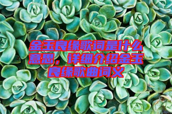 金玉良緣歌詞是什么意思，詳細(xì)介紹金玉良緣歌曲詞義