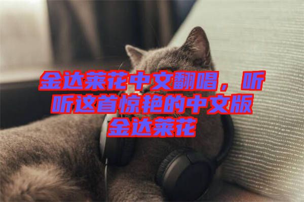金達(dá)萊花中文翻唱，聽聽這首驚艷的中文版金達(dá)萊花