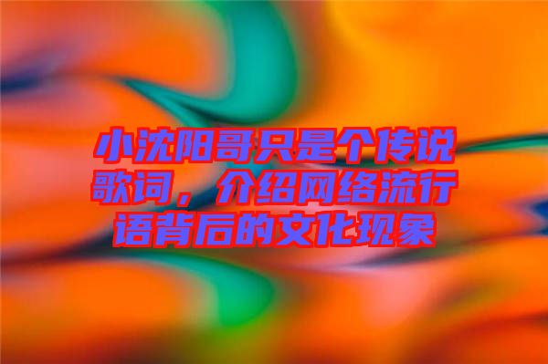 小沈陽哥只是個傳說歌詞，介紹網(wǎng)絡(luò)流行語背后的文化現(xiàn)象