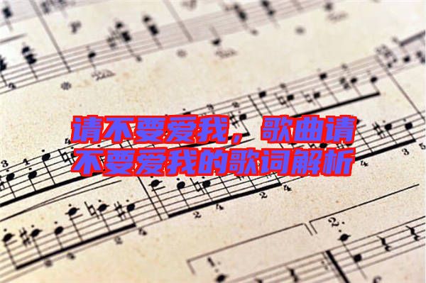 請(qǐng)不要愛(ài)我，歌曲請(qǐng)不要愛(ài)我的歌詞解析