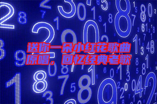 送你一朵小紅花歌曲原唱，回憶經(jīng)典老歌
