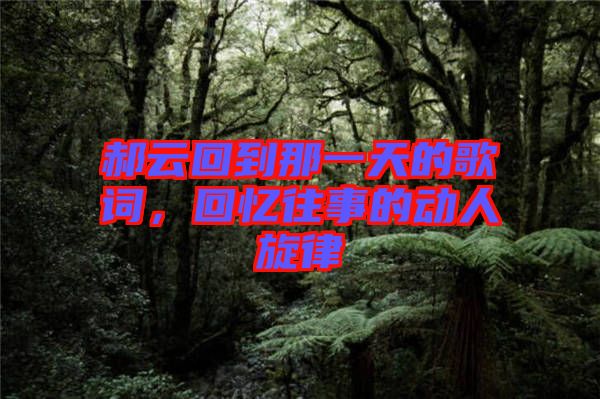 郝云回到那一天的歌詞，回憶往事的動人旋律