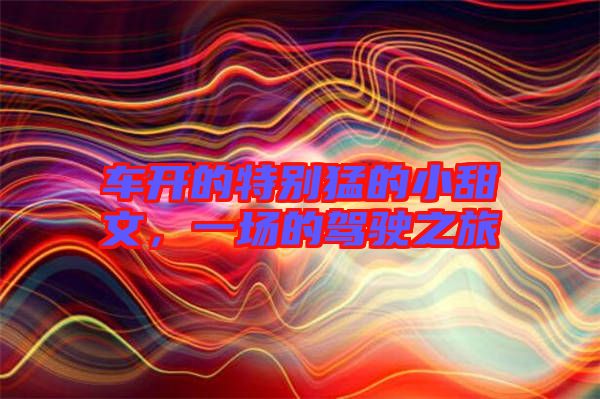 車開的特別猛的小甜文，一場的駕駛之旅
