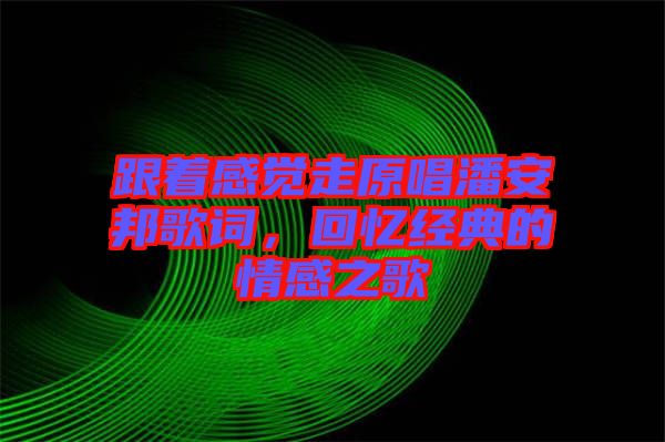 跟著感覺走原唱潘安邦歌詞，回憶經(jīng)典的情感之歌